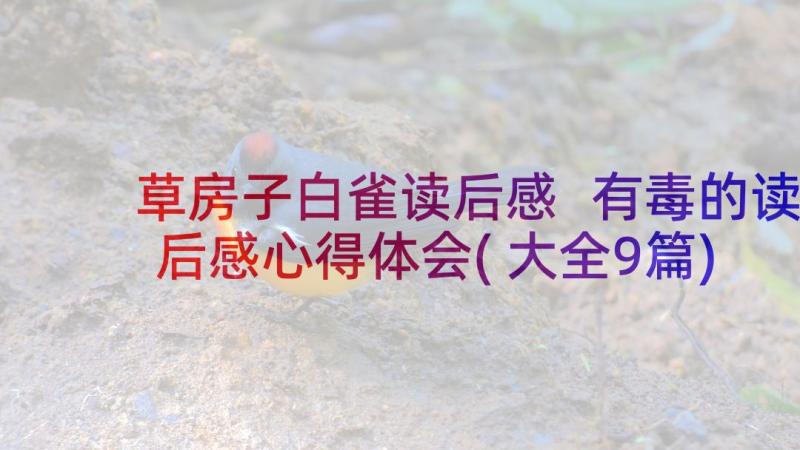 草房子白雀读后感 有毒的读后感心得体会(大全9篇)