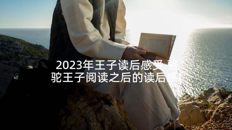 2023年王子读后感受 骆驼王子阅读之后的读后感(模板5篇)