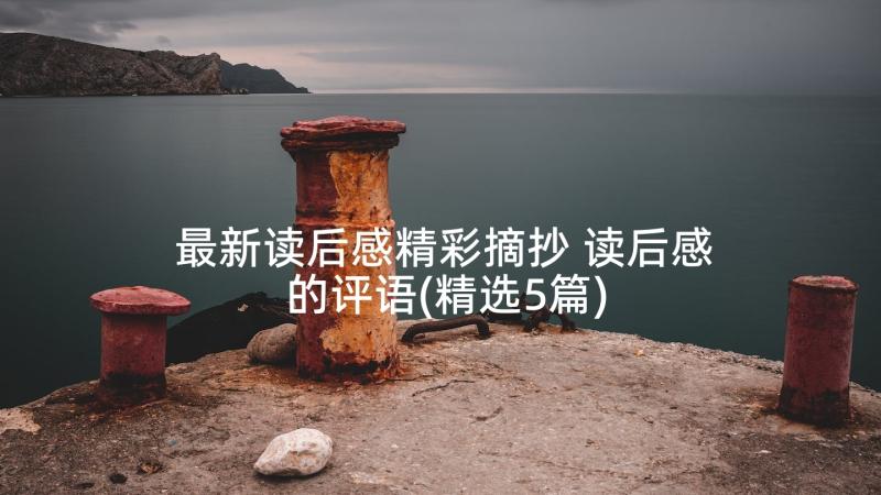 最新读后感精彩摘抄 读后感的评语(精选5篇)