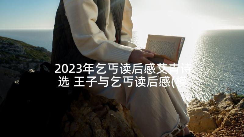 2023年乞丐读后感艾青诗选 王子与乞丐读后感(模板5篇)