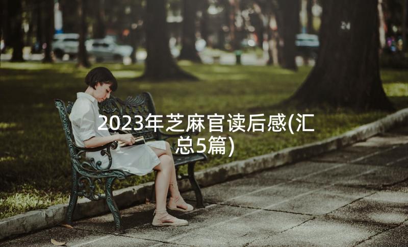 2023年芝麻官读后感(汇总5篇)