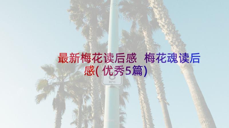 最新梅花读后感 梅花魂读后感(优秀5篇)