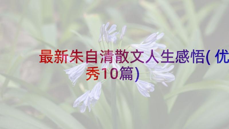 最新朱自清散文人生感悟(优秀10篇)