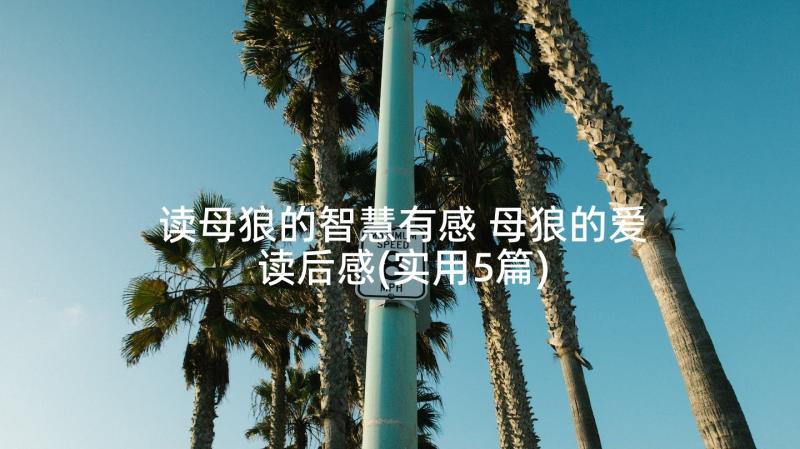 读母狼的智慧有感 母狼的爱读后感(实用5篇)