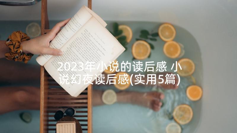 2023年小说的读后感 小说幻夜读后感(实用5篇)