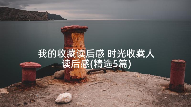 我的收藏读后感 时光收藏人读后感(精选5篇)