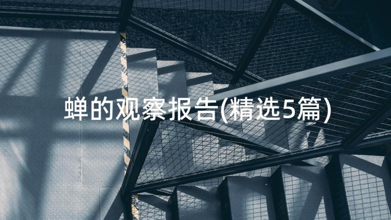 蝉的观察报告(精选5篇)