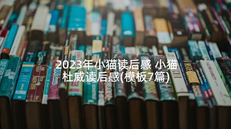 2023年小猫读后感 小猫杜威读后感(模板7篇)