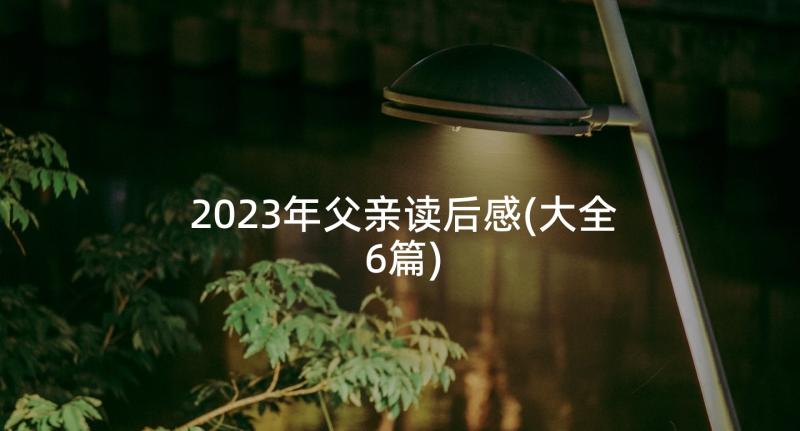 2023年父亲读后感(大全6篇)