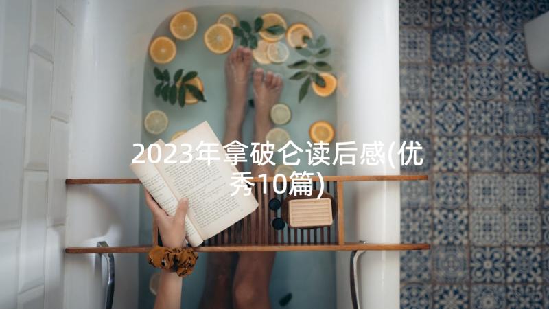 2023年拿破仑读后感(优秀10篇)