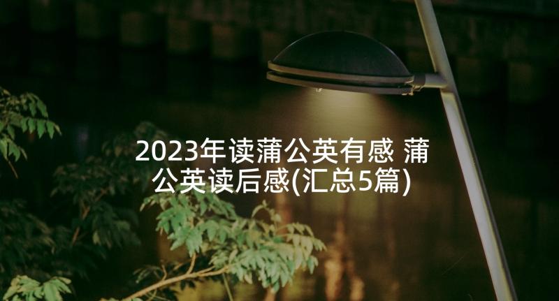 2023年读蒲公英有感 蒲公英读后感(汇总5篇)