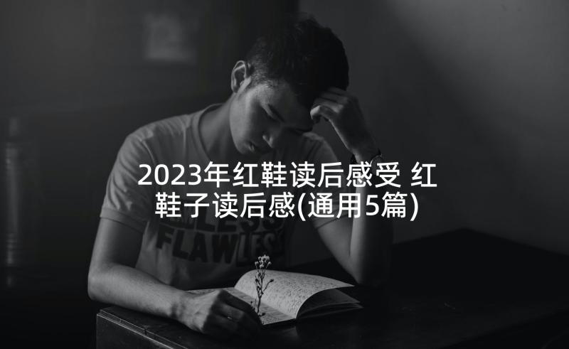 2023年红鞋读后感受 红鞋子读后感(通用5篇)