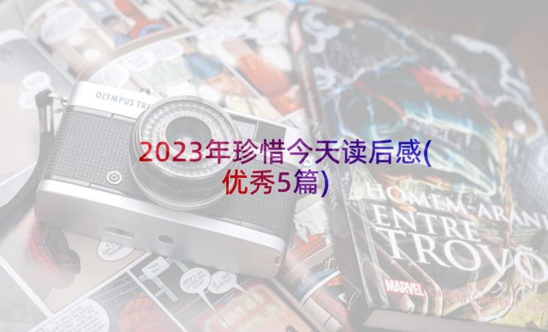 2023年珍惜今天读后感(优秀5篇)