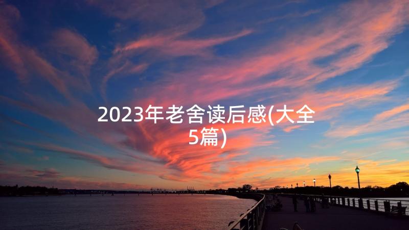 2023年老舍读后感(大全5篇)