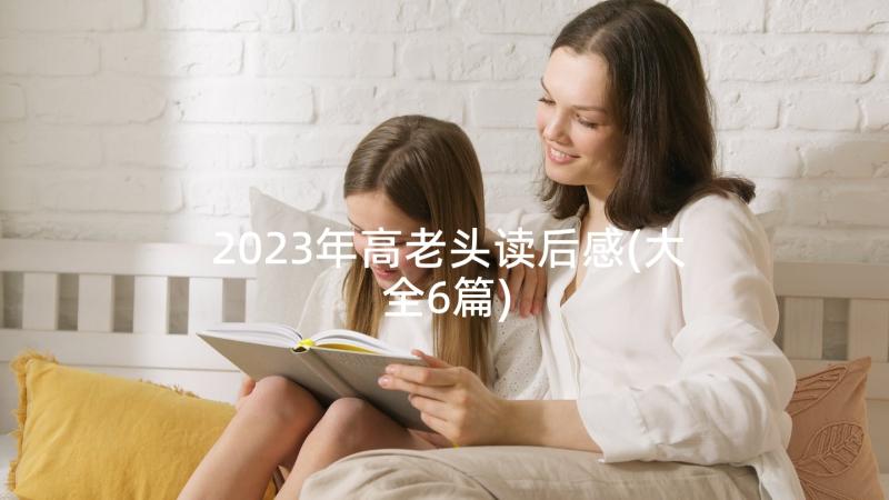 2023年高老头读后感(大全6篇)
