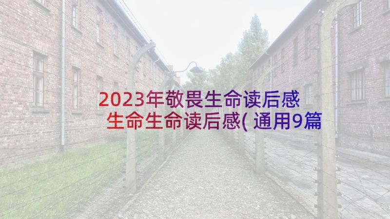 2023年敬畏生命读后感 生命生命读后感(通用9篇)