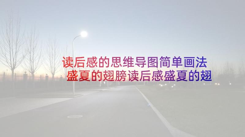 读后感的思维导图简单画法 盛夏的翅膀读后感盛夏的翅膀思维导图(精选5篇)