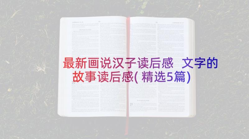 最新画说汉子读后感 文字的故事读后感(精选5篇)