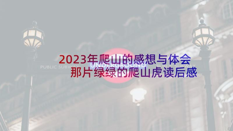 2023年爬山的感想与体会 那片绿绿的爬山虎读后感(大全5篇)