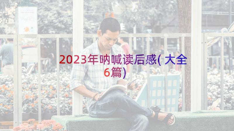 2023年呐喊读后感(大全6篇)