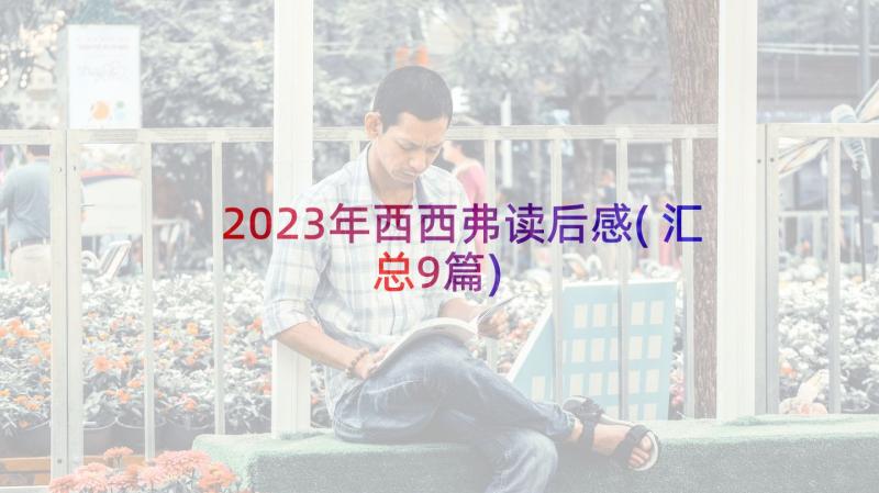 2023年西西弗读后感(汇总9篇)