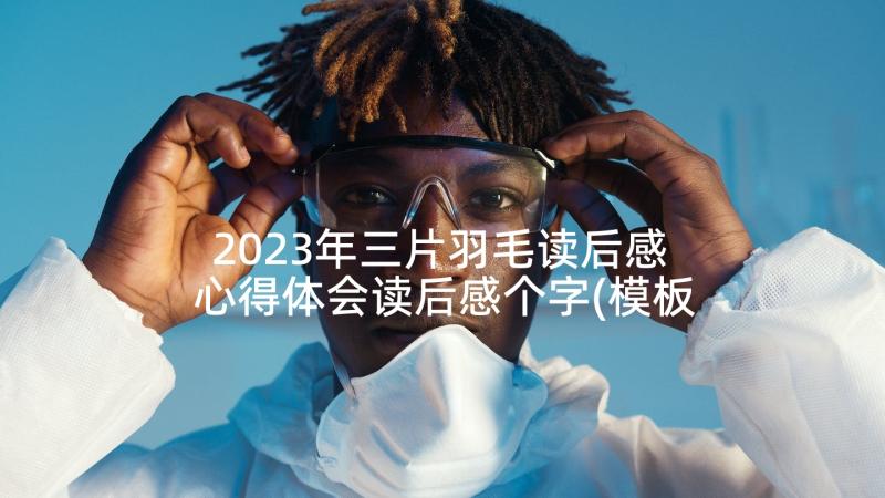 2023年三片羽毛读后感 心得体会读后感个字(模板8篇)