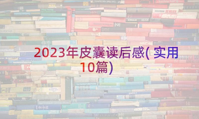 2023年皮囊读后感(实用10篇)