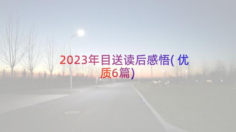 2023年目送读后感悟(优质6篇)