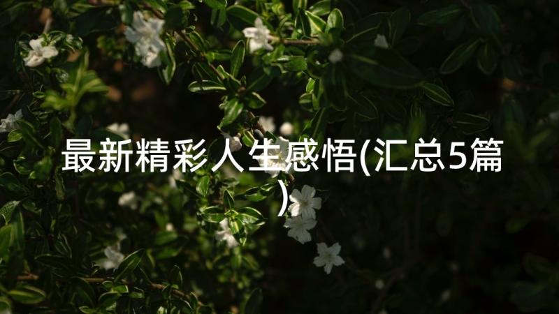 最新精彩人生感悟(汇总5篇)