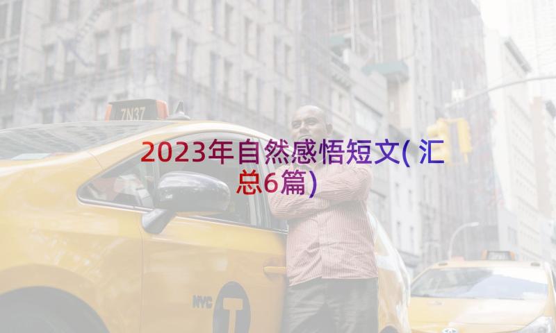 2023年自然感悟短文(汇总6篇)