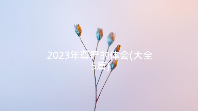2023年尊严的体会(大全5篇)