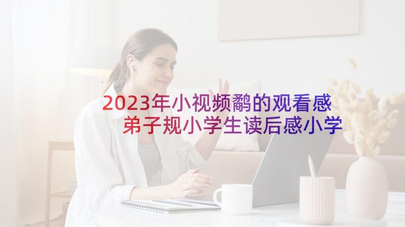 2023年小视频鹬的观看感 弟子规小学生读后感小学生弟子规背诵视频(汇总5篇)