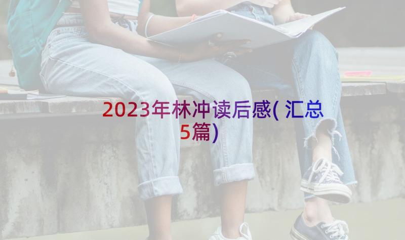 2023年林冲读后感(汇总5篇)