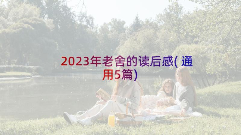 2023年老舍的读后感(通用5篇)