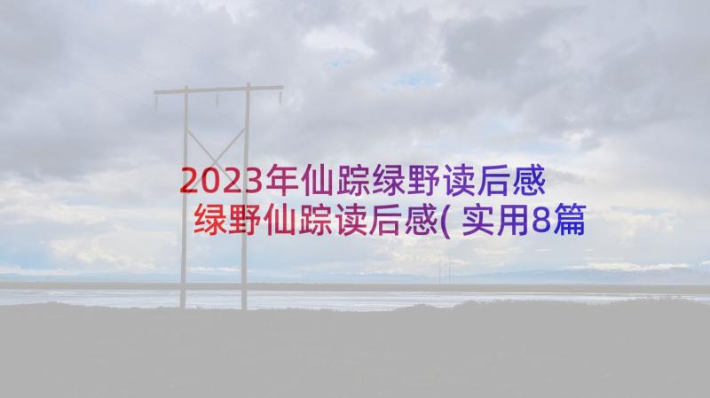 2023年仙踪绿野读后感 绿野仙踪读后感(实用8篇)