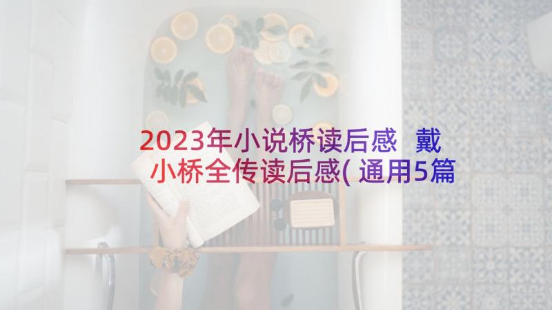 2023年小说桥读后感 戴小桥全传读后感(通用5篇)