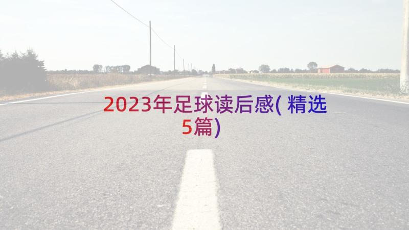 2023年足球读后感(精选5篇)