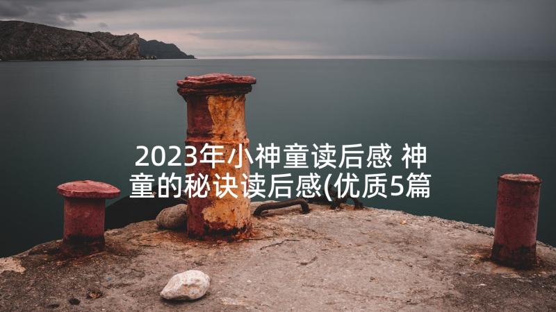 2023年小神童读后感 神童的秘诀读后感(优质5篇)