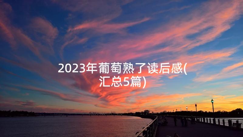 2023年葡萄熟了读后感(汇总5篇)