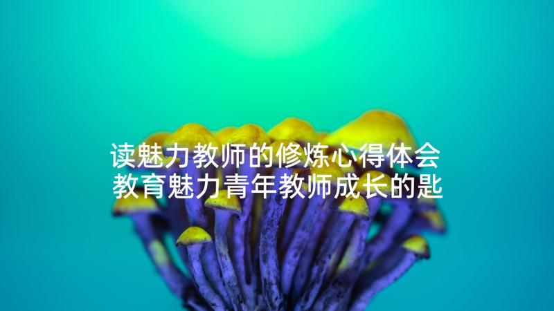 读魅力教师的修炼心得体会 教育魅力青年教师成长的匙读后感(精选5篇)