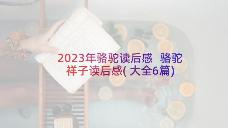 2023年骆驼读后感 骆驼祥子读后感(大全6篇)