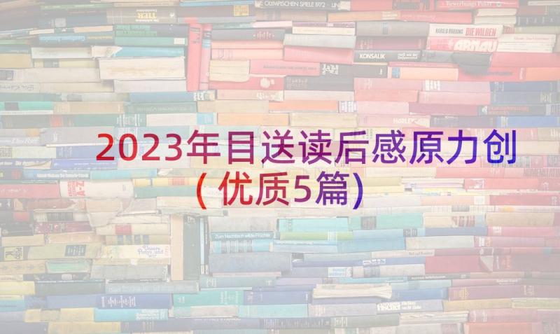 2023年目送读后感原力创(优质5篇)