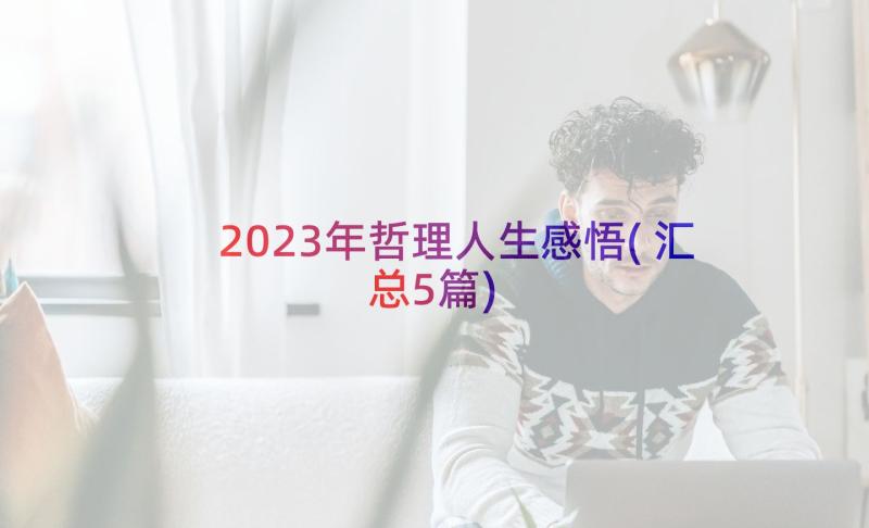 2023年哲理人生感悟(汇总5篇)