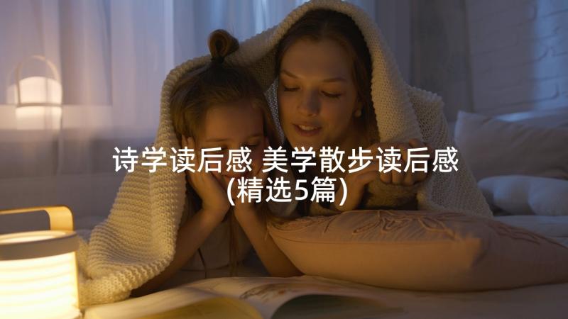 诗学读后感 美学散步读后感(精选5篇)