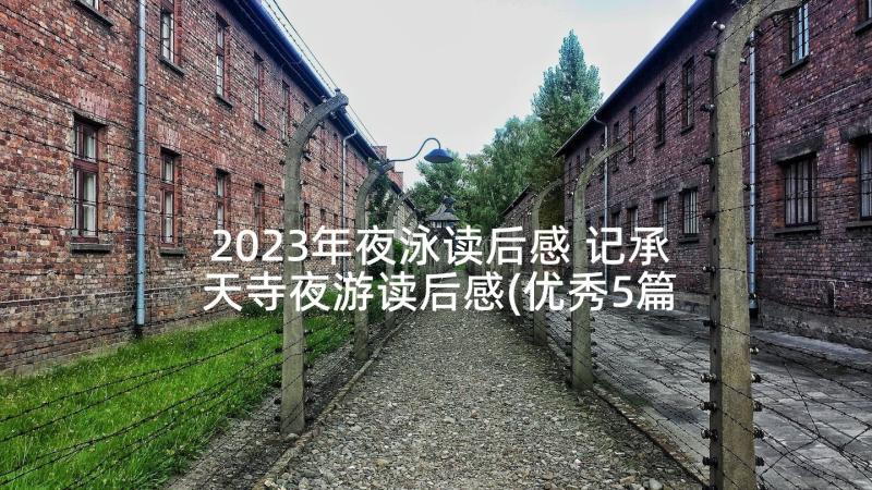 2023年夜泳读后感 记承天寺夜游读后感(优秀5篇)