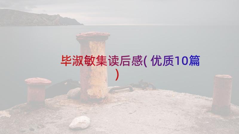 毕淑敏集读后感(优质10篇)