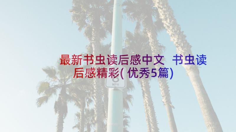 最新书虫读后感中文 书虫读后感精彩(优秀5篇)