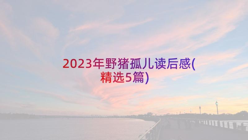 2023年野猪孤儿读后感(精选5篇)