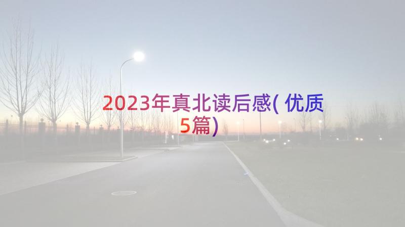 2023年真北读后感(优质5篇)