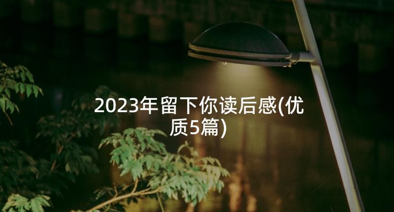 2023年留下你读后感(优质5篇)